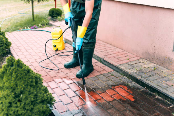 Best Roof Washing  in Dixon, KY